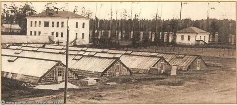 Поселок кучина