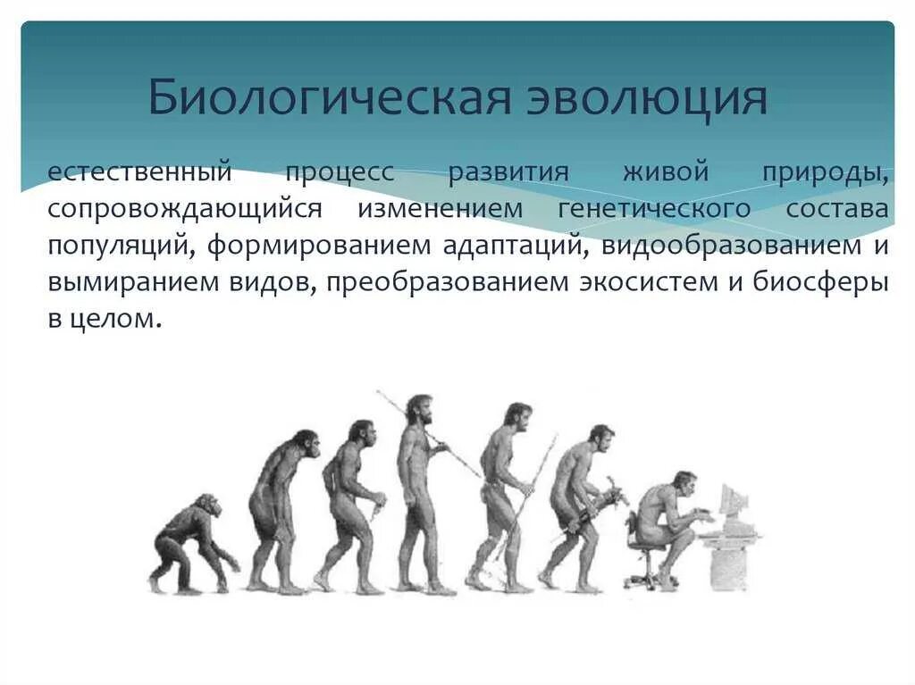 Формы эволюционного развития общества