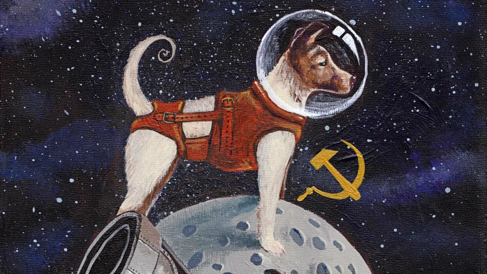 Космосе собака лайка СССР. Первая собака космонавт лайка. Собака лайка 1957. Лайка собака космонавт в скафандре. Полет лайки в космос
