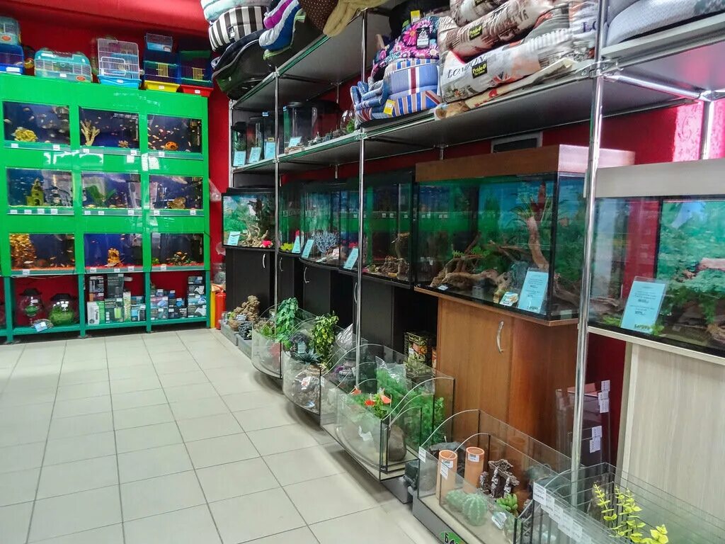 багира зоомагазин. специализированные зоомагазины. зоомир симферополь. зоомагазин в ашане симферополь. зоомагазин симферополь.