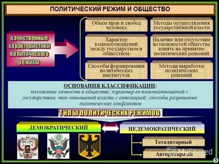 Политик разные определения