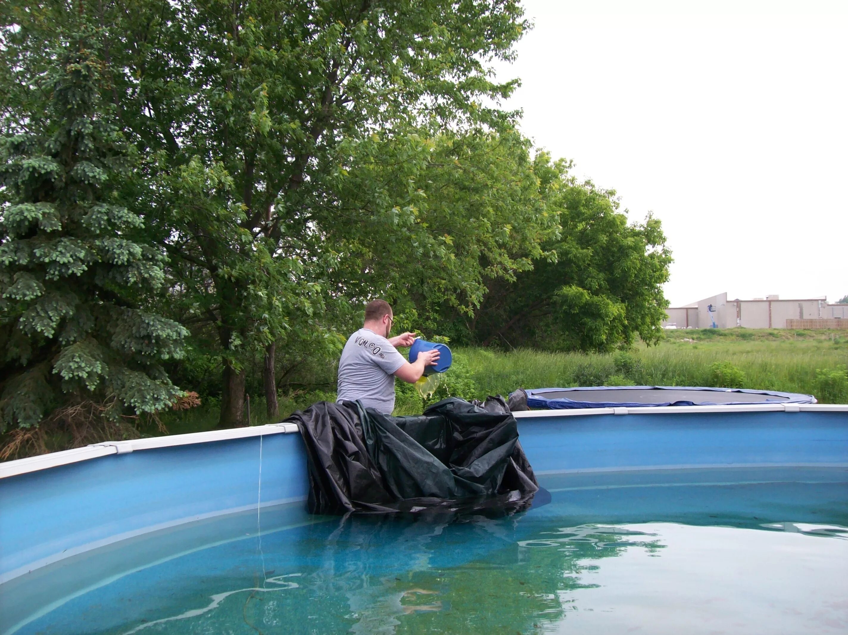 Цветущая вода в бассейне. Зацвела вода в бассейне. Бассейн зазеленел. Зеленая вода в бассейне. Чтобы не цвела вода в бассейне.