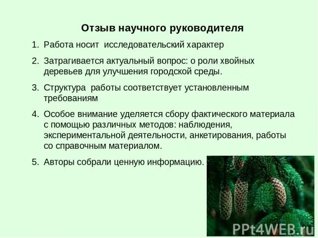 Какой характер носит деятельность. Культурная функция документа. Функционирование носит и характер. Функционирование носит и характер. Функционирование носит и характер.