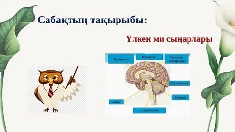 Орыс медбике порно