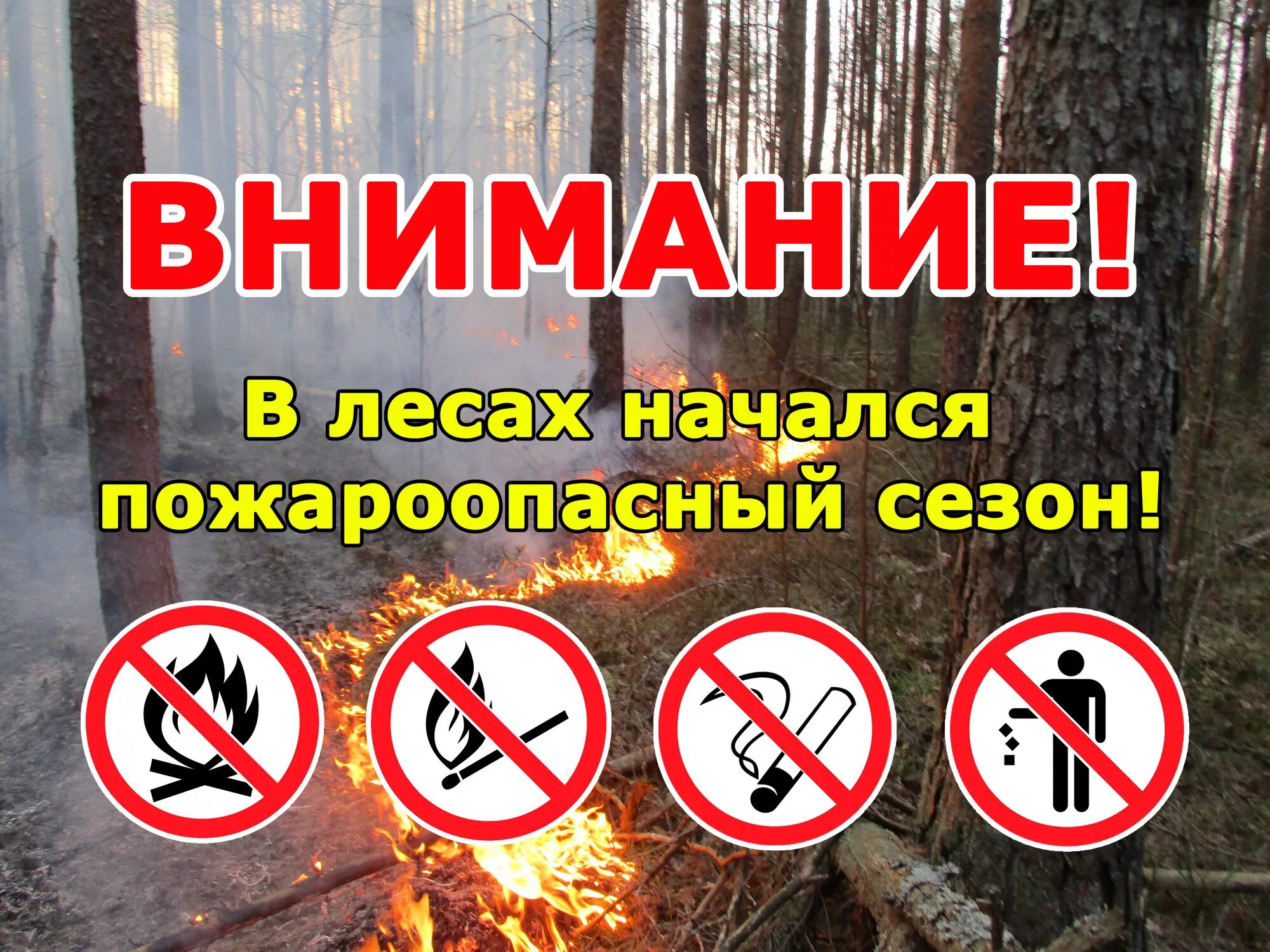 Внимание начался пожароопасный период. Пожароопасный период в лесу. Что запрещается правилами противопожарного режима