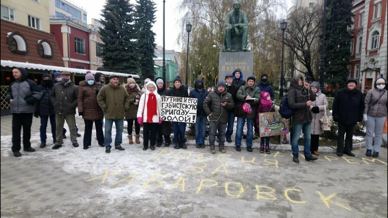 Те кто приехал в воронеж в феврале. Против воронежа. голуби зомби в воронеже. голуб воронеж.