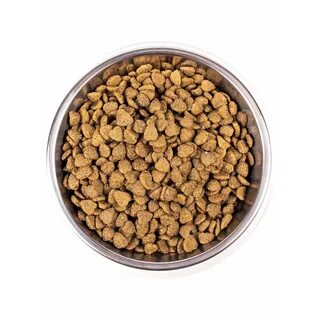 Indoor корм для кошек