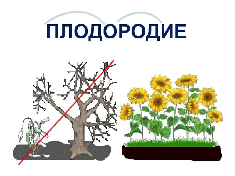 Плодородие д. Плодородие картинки. Плодородие рисунок для 4 класса по окружающему миру. Плодородие почвы презентация. Что такое плодородие 3 класс окружающий мир.