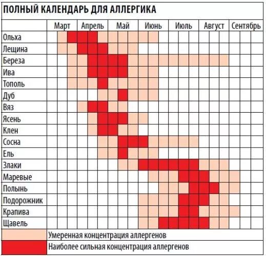 Приложение для аллергиков цветение. Периоды цветения для аллергиков. цветение березы. период цветения аллергенных деревьев. таблица цветения для аллергиков.
