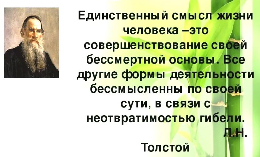 Смысл жизни человека. В чем смысл жизни человека. Классный час о смысле жизни. В чем заключается смысл жизни.