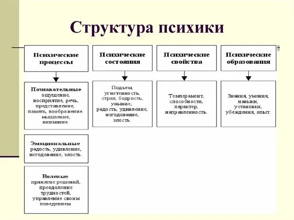 Функции деятельности человека примеры Целесообразность деятельности человека пример