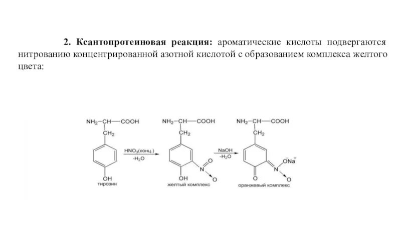 Белки с азотной кислотой. Ксантопротеиновая реакция на тирозин. Уравнение ксантопротеиновой реакции на тирозин. Ксантопротеиновая реакция реакция. Ксантопротеиновая реакция на ароматические аминокислоты.