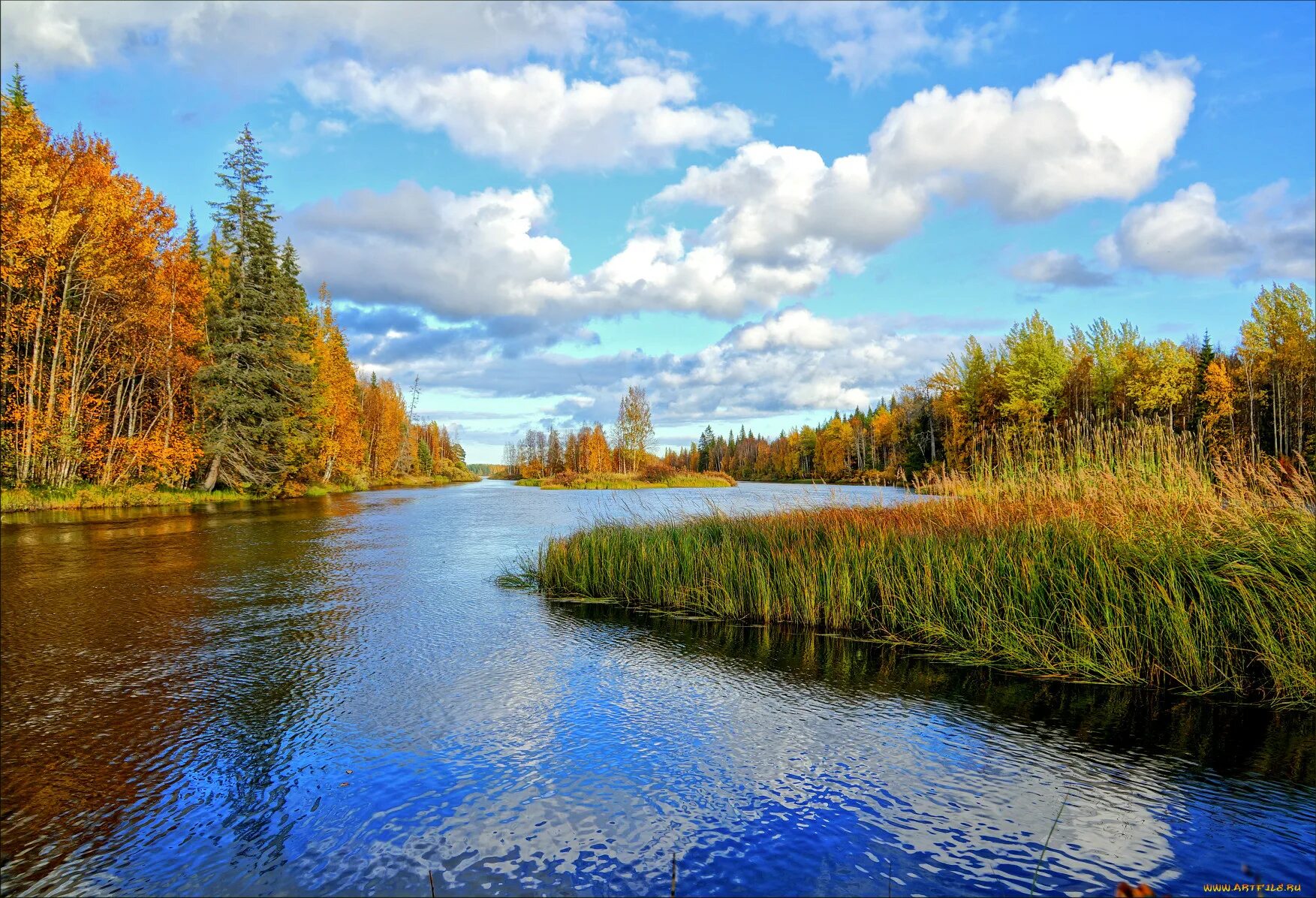 Вода родной край. Природа России. Пейзажи природы России. Красота природы реки. Уголки природы России.