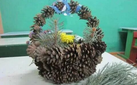 Детские сады шишка