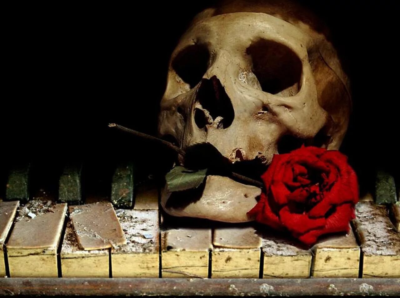 Жизнь и смерть музыка. Череп и пианино.