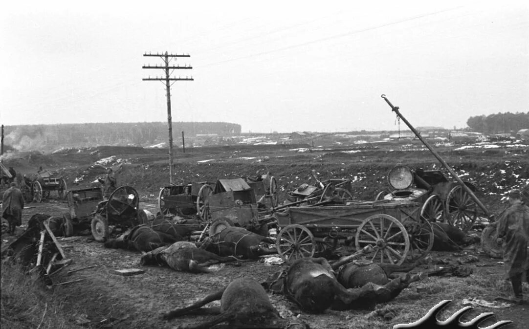 15 октября 1941. Разбитая советская колонна 1941. разбитая колонна советских войск 1941. разгромленная колонна ркка июнь 1941.