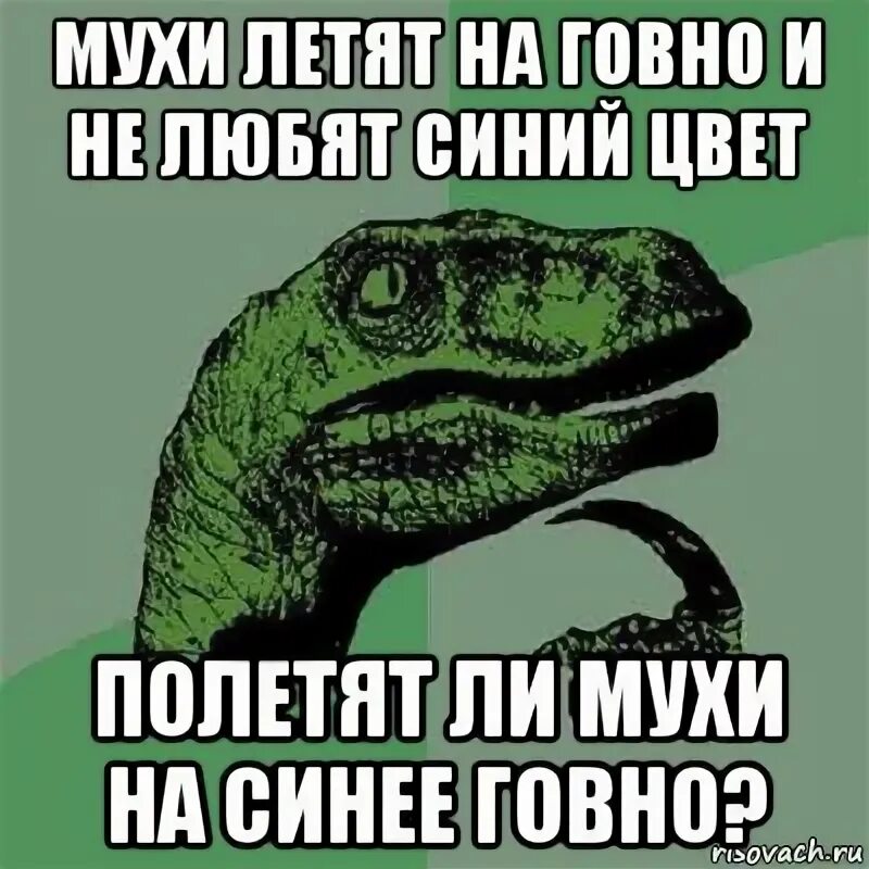 Какашка улетела. Муха не пролетит. а муха тоже вертолет. летающая какашка.