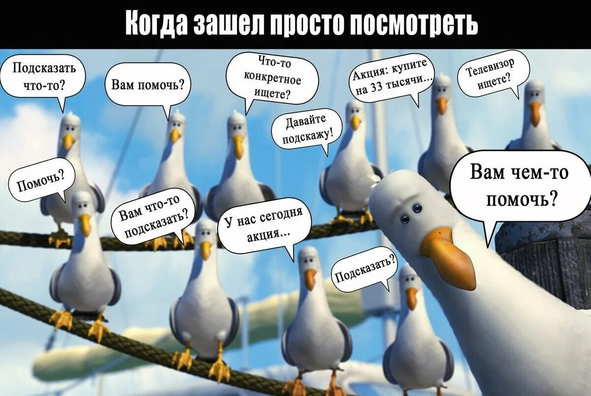 Ничто другое не помогает. Вам что то подсказать. Шутки про продавцов. Веселые картинки про продажи. Смешные картинки про продажи.