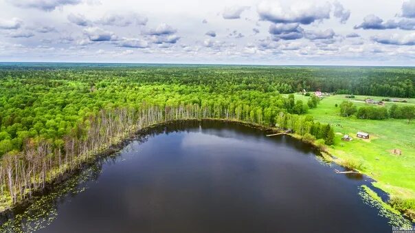 Погода село окунево кемеровская область промышленновский район. Данилово озеро Омская область с высоты птичьего полета. Промышленновский район с.Окунево. Окунево селеопсис. Окунево луностояния.