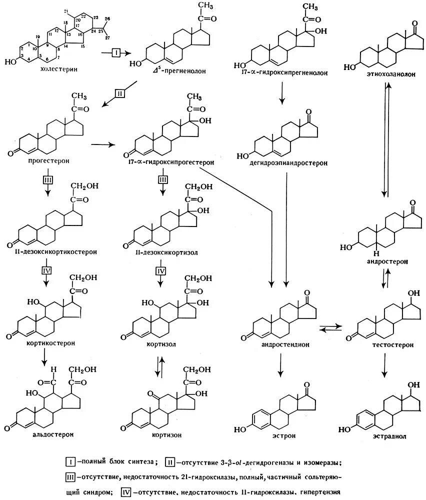 Синтез гормонов происходит. Синтез стероидных гормонов из холестерина схема. Схема синтеза стероидных гормонов биохимия. Схема синтеза стероидных гормонов. Схема биосинтеза стероидных гормонов в коре надпочечников.