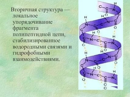 Виды вторичной структуры