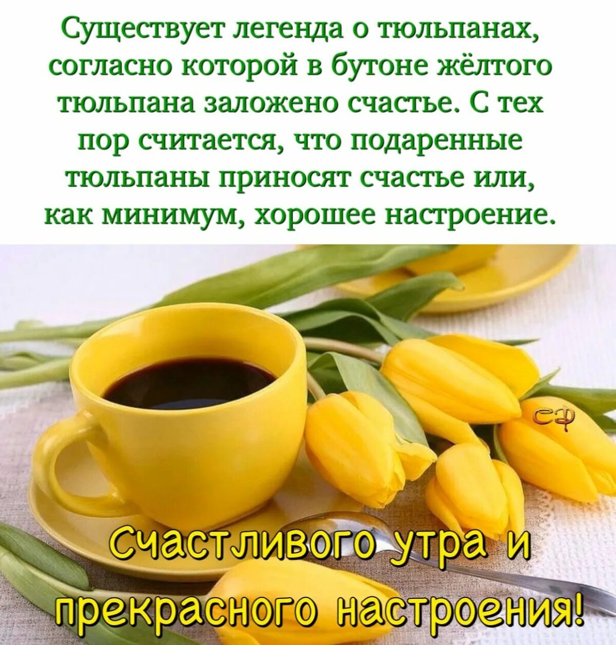 Пусть утречко будет доброе. Доброе утро с желтыми тюльпанами. доброе утро хорошего дня с желтыми. открытки с добрым утром с желтыми тюльпанами. и снова утро.