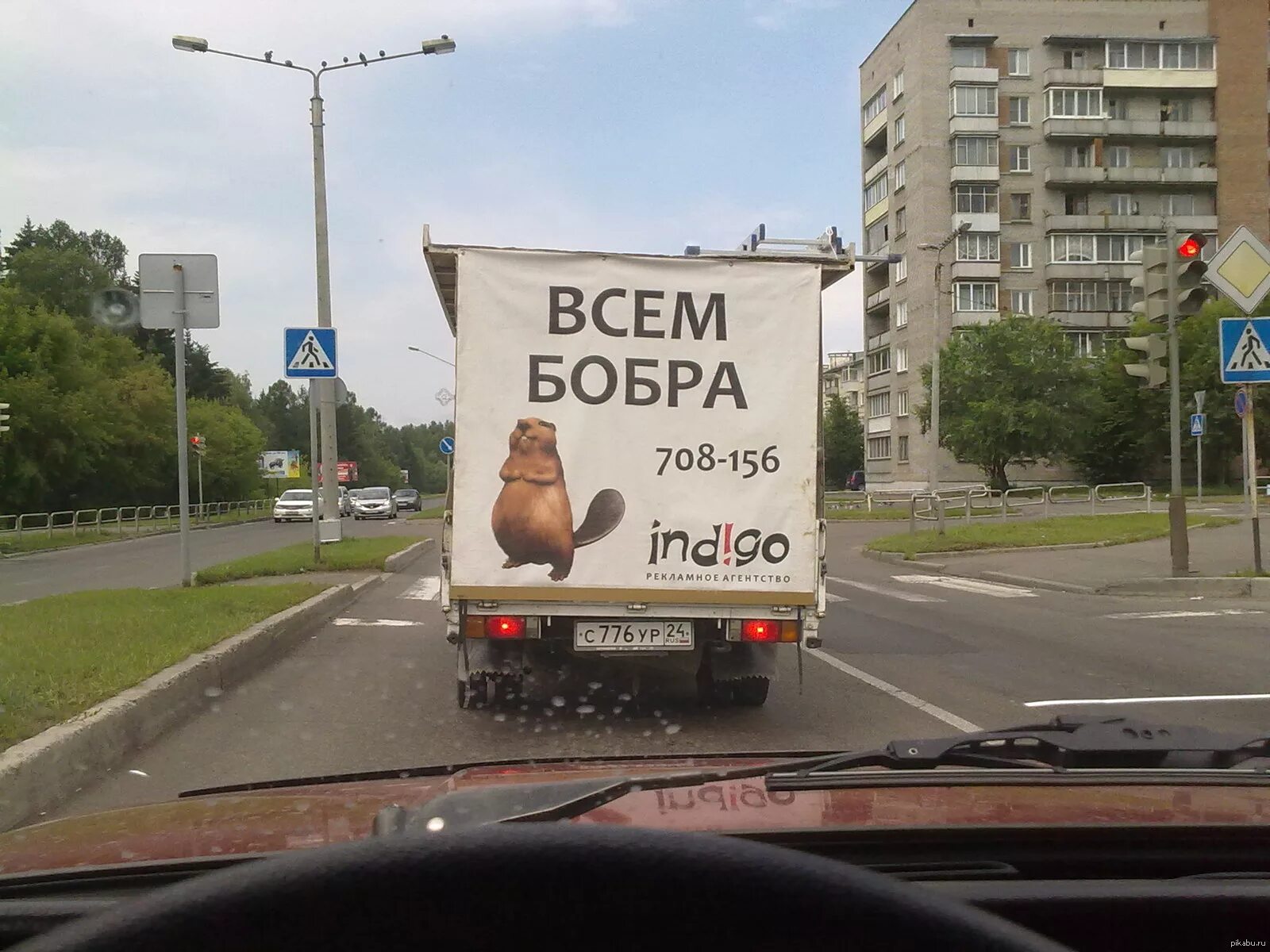 Всем добра прикол. Всем бобра. всем бобра прикол. бобер смешной. всем добра всем бобра.