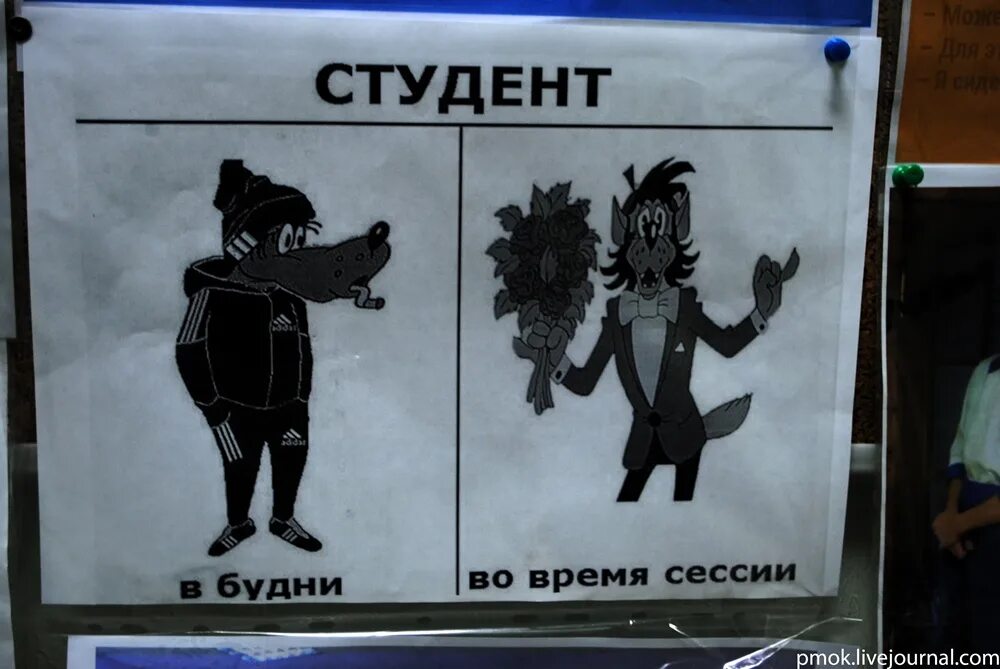 От сессии до сессии живут студенты. Время сессии. Сессия плакат. Студент во время сессии. Составьте схему опишите своё состояние до сессии после сессии.