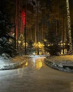 Лесной каток