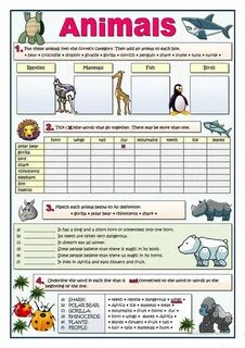 Animals 5 grade