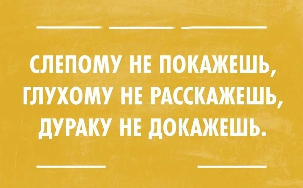 Расскажи какой я никакой. Книга анекдотов. Смешные высказывания о писателях. Прикольные фразы про литературу. Анекдоты про писателей.