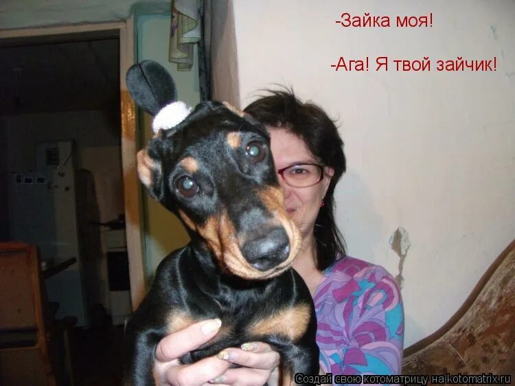 зайка моя я твой зайчик. шутки любимому мужчине. надпись заяц. футболка 'зайка'. рыбка моя я твой зайчик прикол.