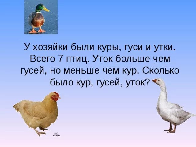 Реши утка 6 класс