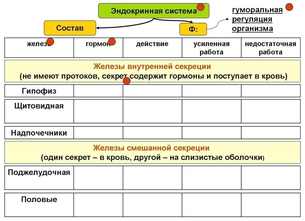 Тест гормоны 8 класс. Схема регуляции функций желез внутренней секреции. Эндокринная система. Роль эндокринной регуляции. Гуморальная регуляция таблица 8 класс по железам внутренней секреции. Конспект по биологии эндокринная система 8 класс.