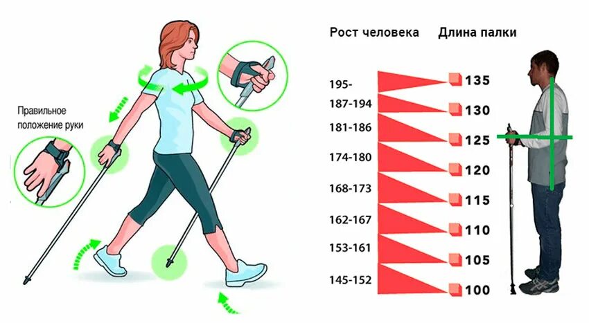 Как правильно ходить мужчине. Методика скандинавской ходьбы для начинающих. Инструкция по скандинавской ходьбе с палками для начинающих. Скандинавская ходьба с палками техника ходьб. Правила ходьбы со скандинавскими палками для начинающих.