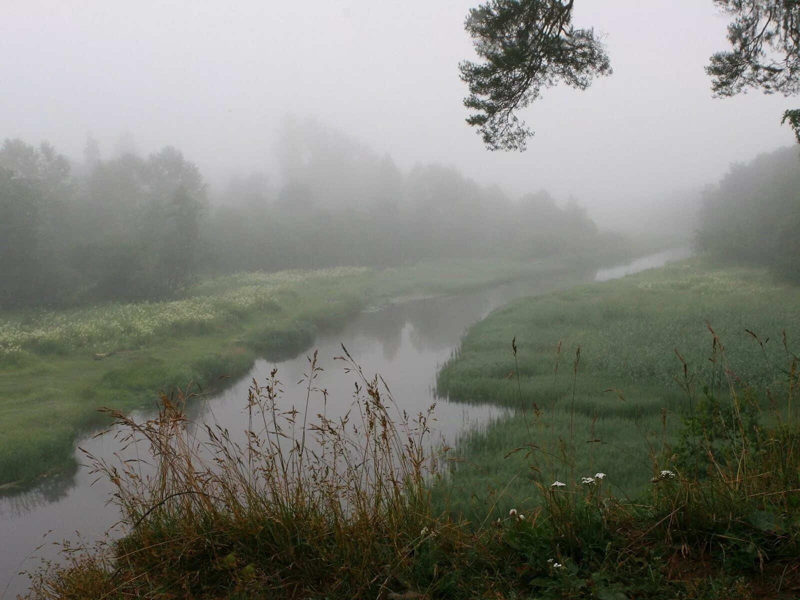 Река Жиздра туман. Туман над рекой в Ямаровке. Река туманная. Туман на реке.