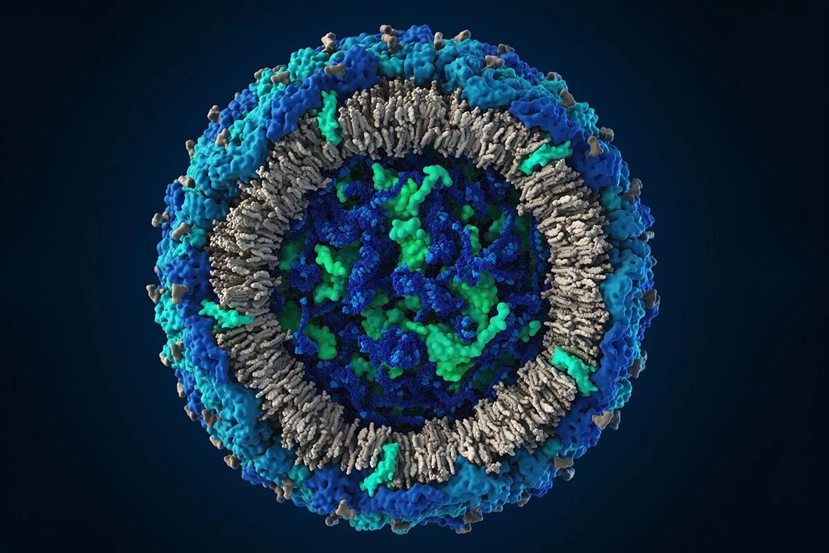 Вирус гриппа под. 3д модель вируса ВИЧ. Вирус СПИДА под микроскопом. Макет вируса. Вирусы фото.