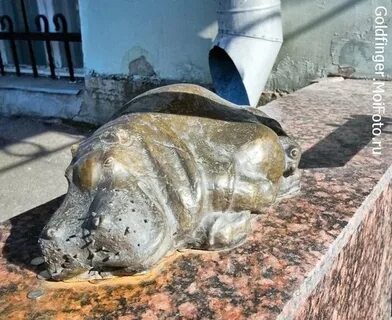 Как звали бегемотиху из ленинградского зоопарка