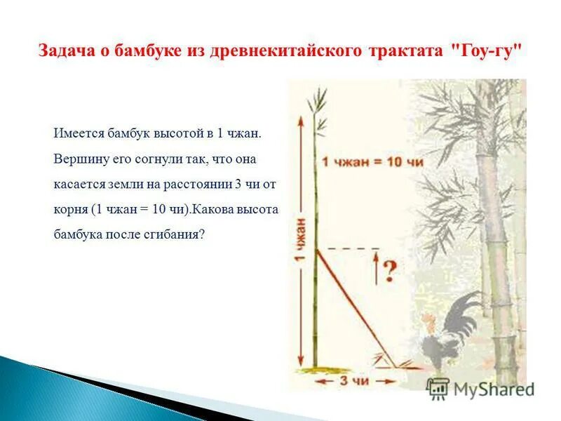 какой высоты вырастает бамбук. высота бамбука. какой высоты вырастает бамбук. какой высоты вырастает бамбук. какой высоты вырастает бамбук.