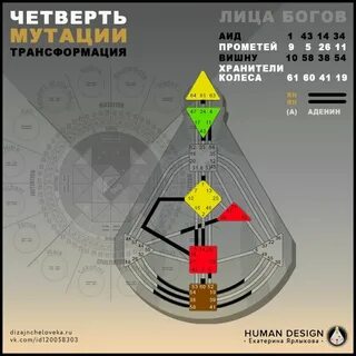 Четверть людей