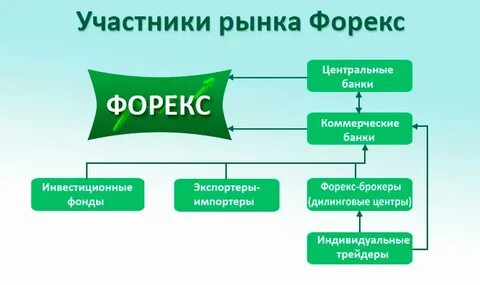 Участник отрасли