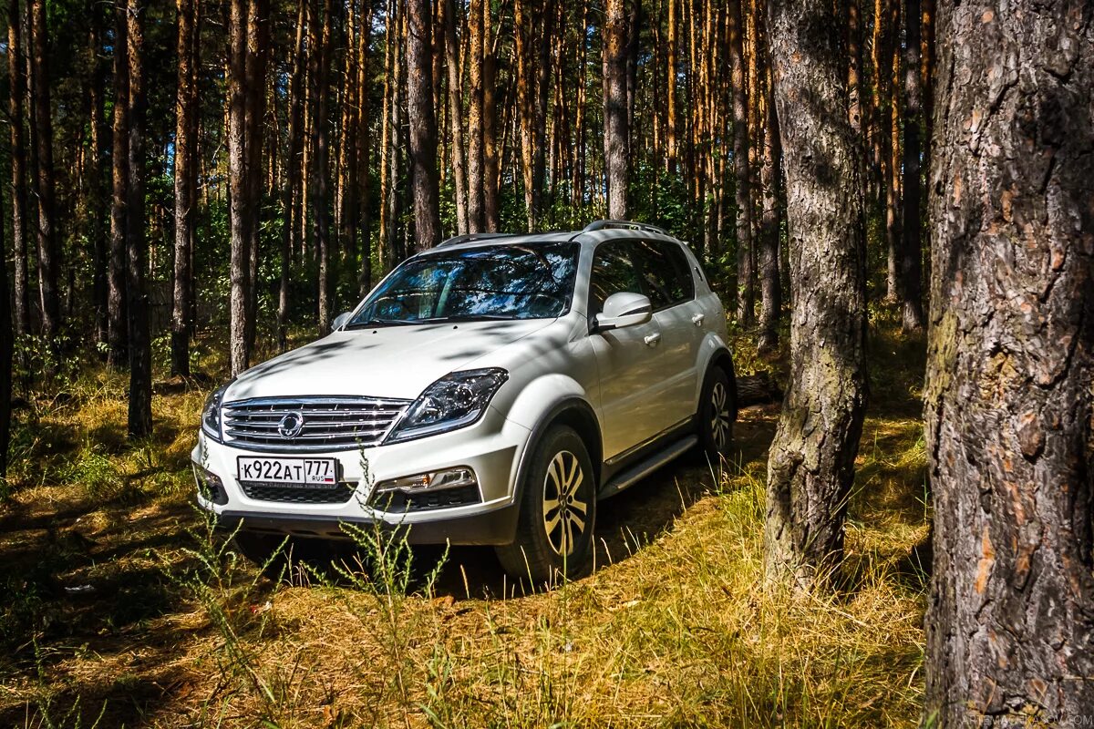 Полный привод рекстона. SSANGYONG Rexton w 2014. SSANGYONG Rexton 2013. SSANGYONG Rexton 2014 белая. SSANGYONG Rexton 2 антихром.