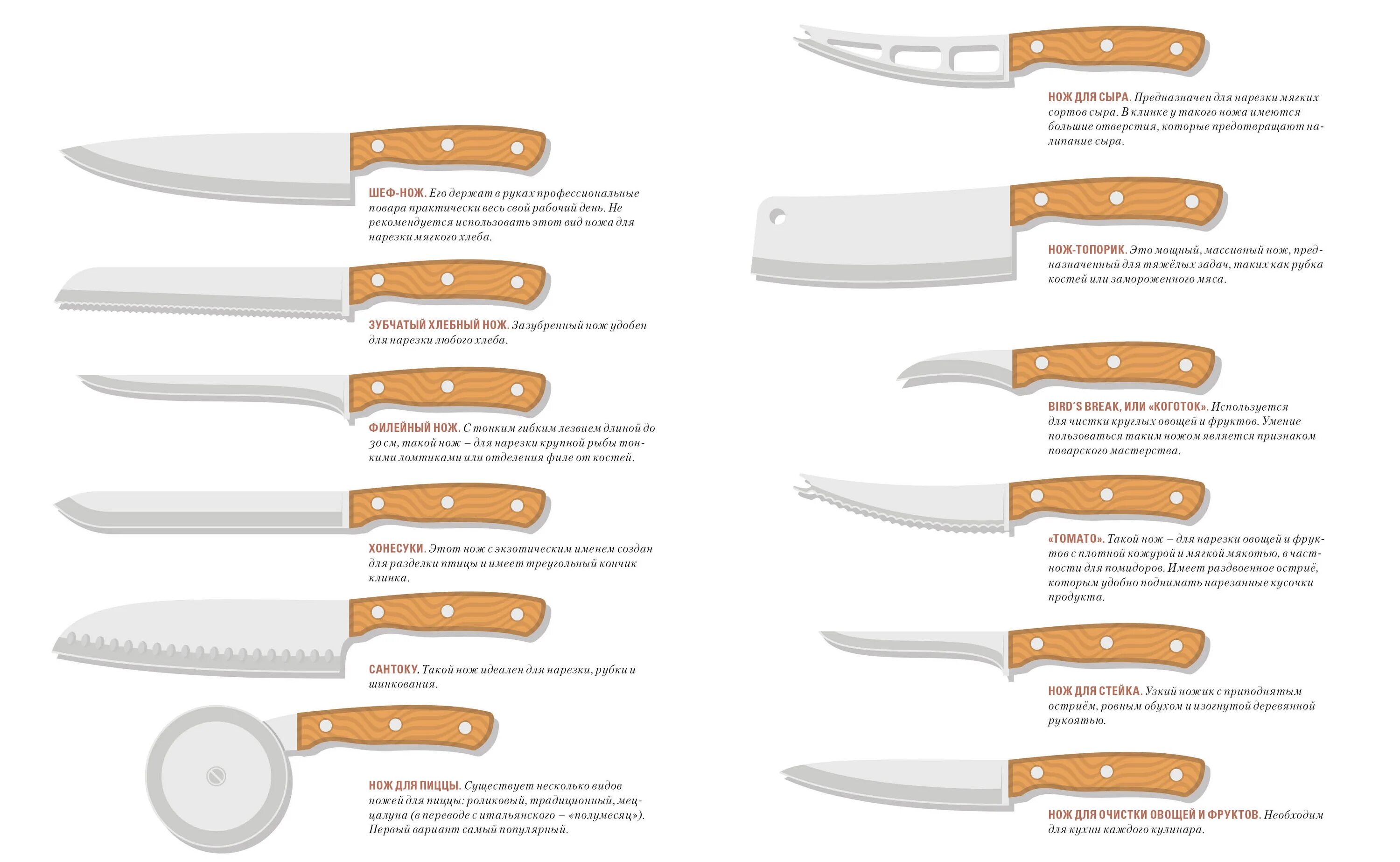 Формы кухонных ножей. Типы кухонных ножей и их Назначение. Типы ножей для кухни. Кухонные ножи по назначению.