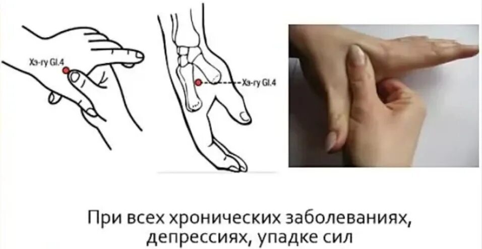 Точка хэ гу расположение на руке фото - ViktoriaFoto.ru