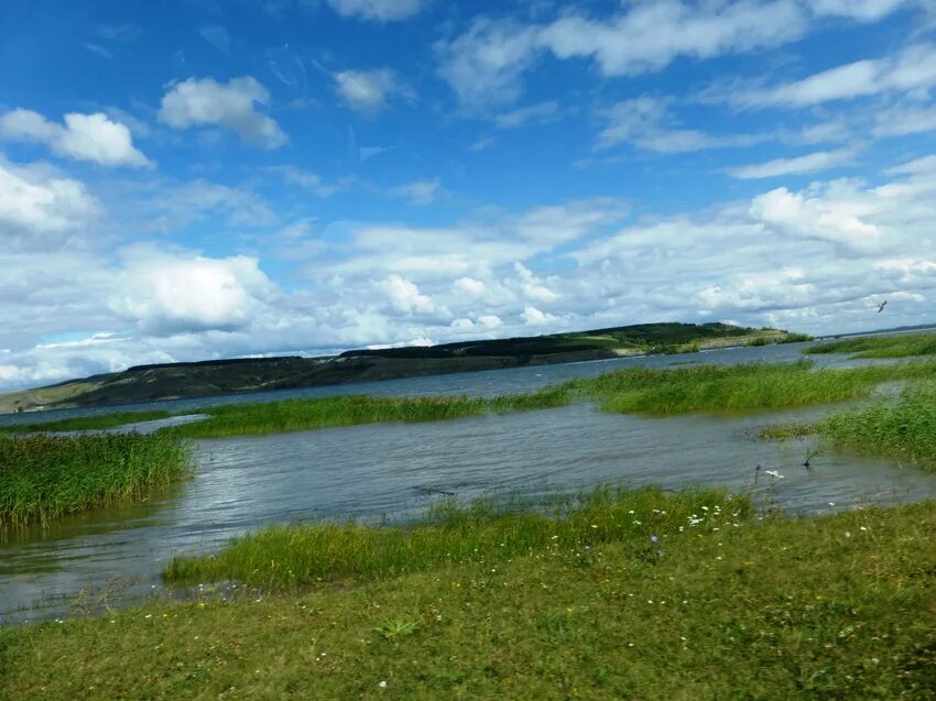 Село мордово ульяновская область. Мордово озеро. Мордово тольятти. Мордово озеро. Мордово озеро ульяновская область.