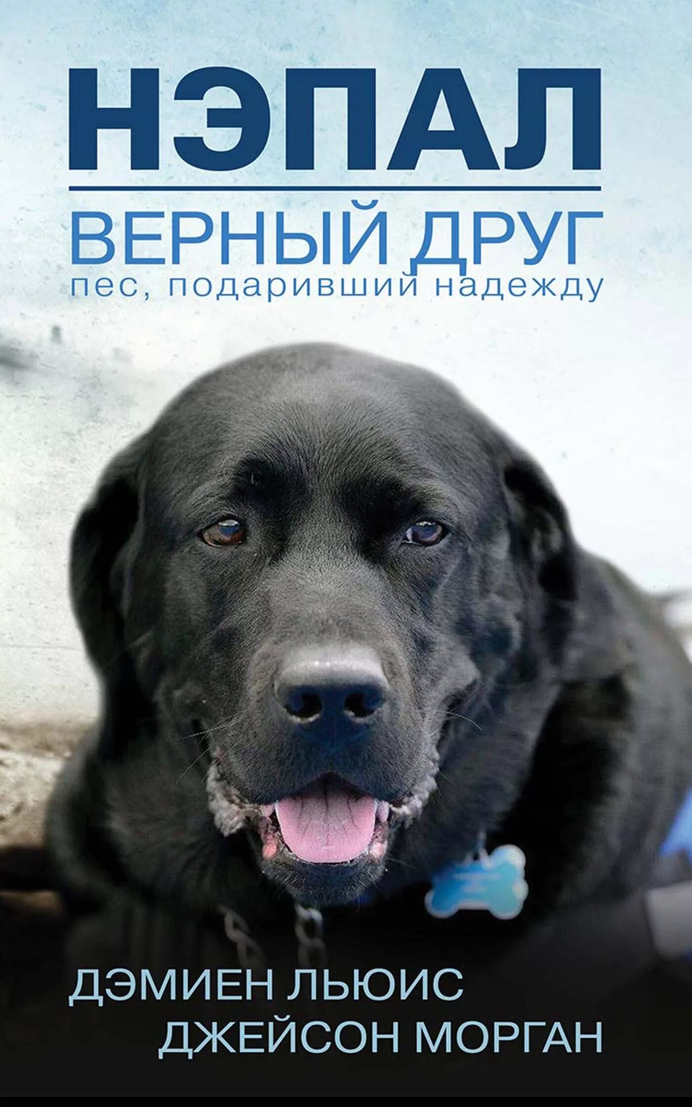 Собаки и другие люди аудиокнига слушать