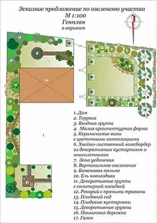План местности фруктовый сад