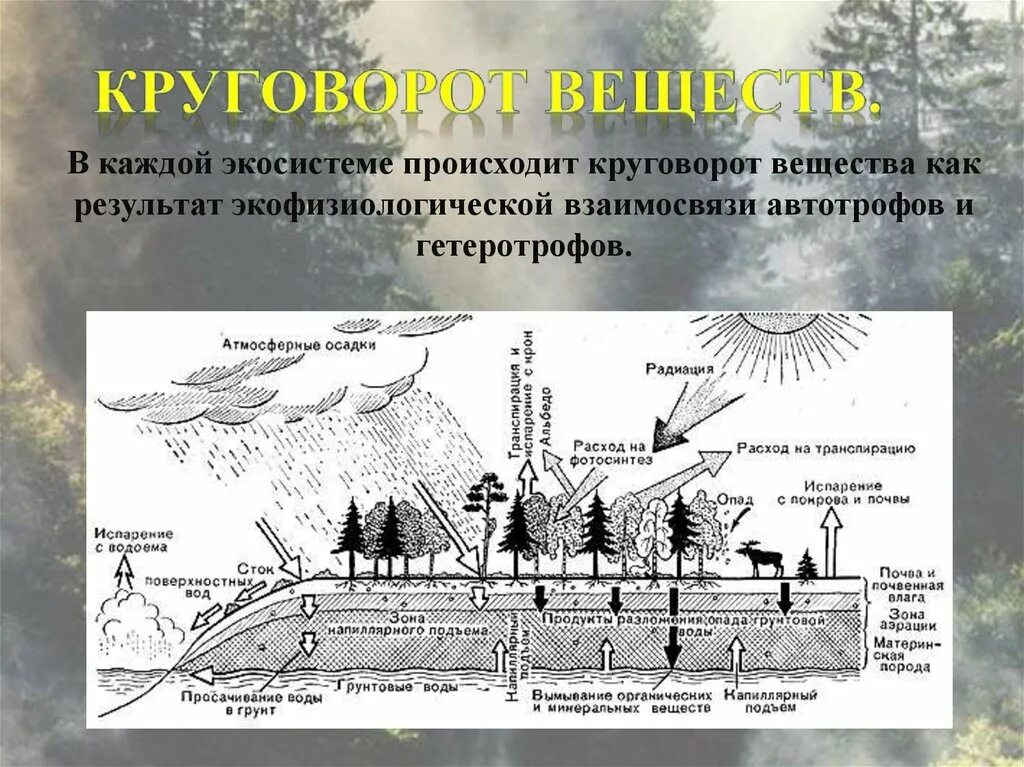 На земле огромных масштабах осуществляется круговорот воздушных. Круговорот воды в экосистеме. антропогенный круговорот веществ в биосфере. воздействие человека на круговороты веществ. влияние человека на круговорот веществ в природе.
