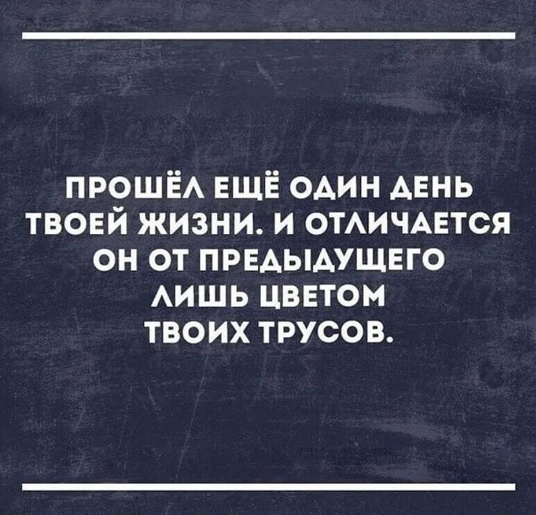 В отличии от предыдущего года