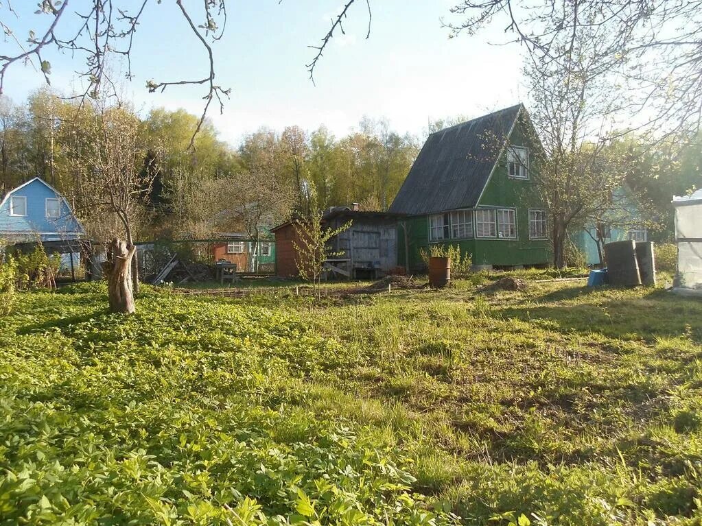 Климат Юсупово СНТ. Домодедово дачи. СНТ климат фото. Деревня Юсупово Домодедовский район фото. Авито купить дачу в туле